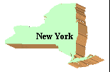 ny_state