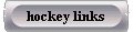  hockey links 